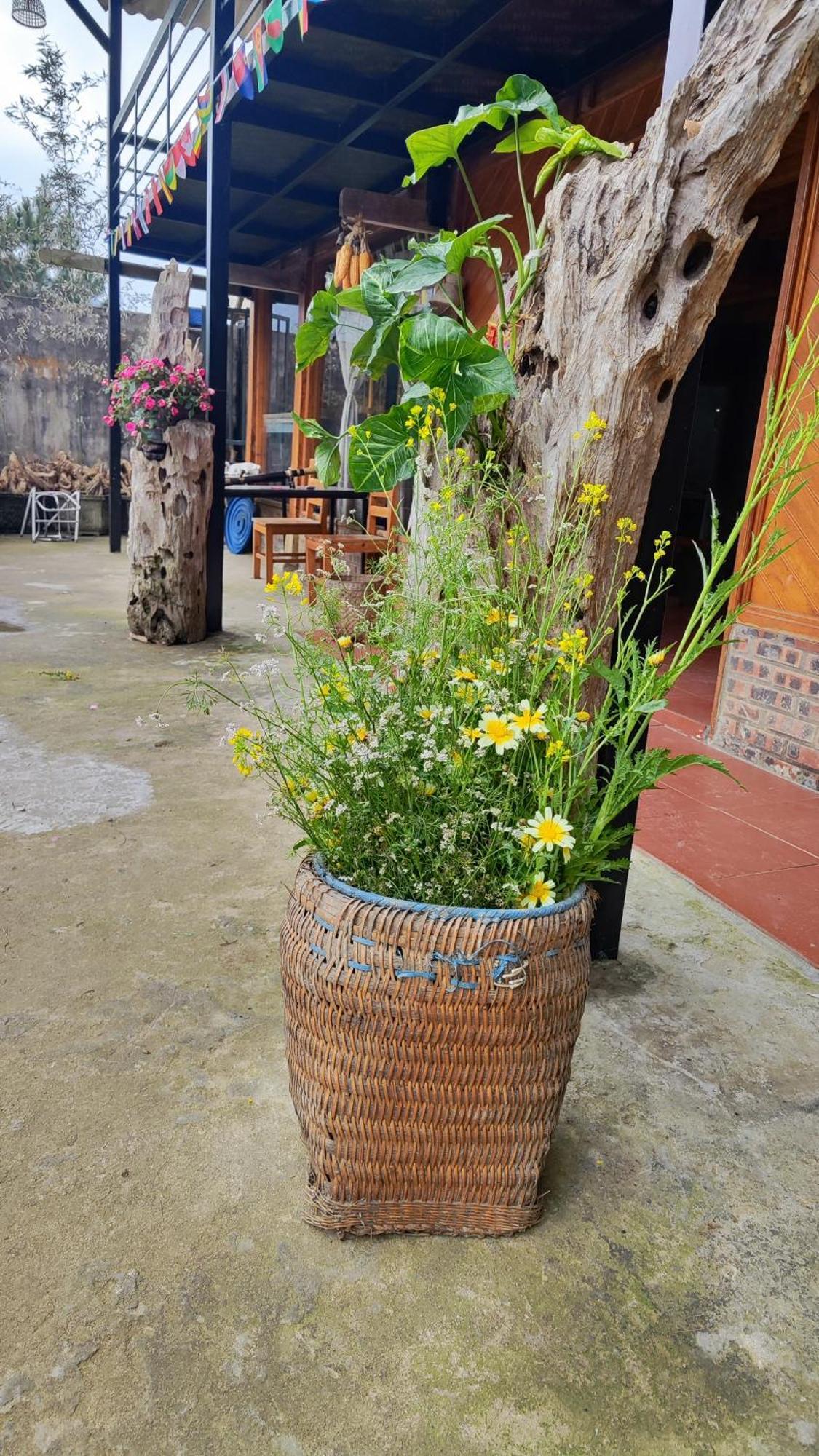 Tavan View Homestay Sapa Exteriér fotografie